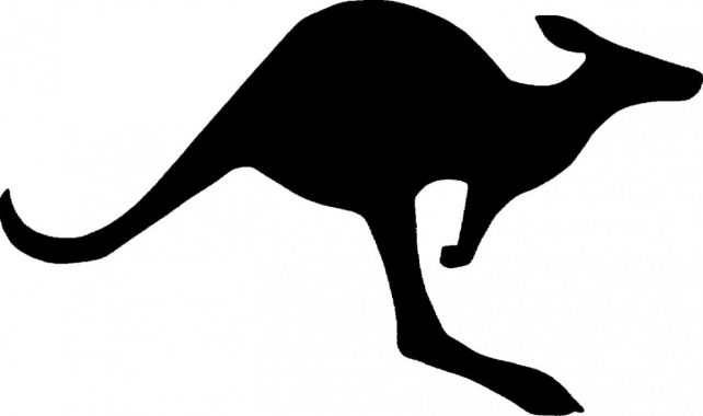 stencil-animali-canguro