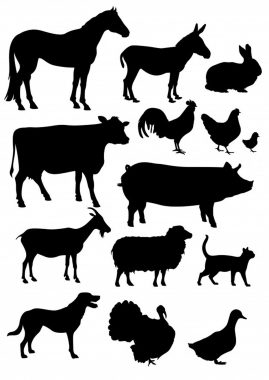 stencil-animali-cavallo-mucca-maiale-cane-uccello-coniglio-asino-capra-gallo-gallina