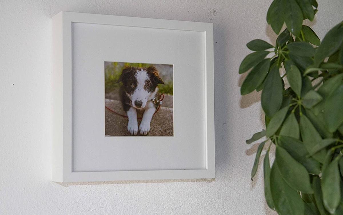 urna-per-cane-a-forma-di-quadro-cornice