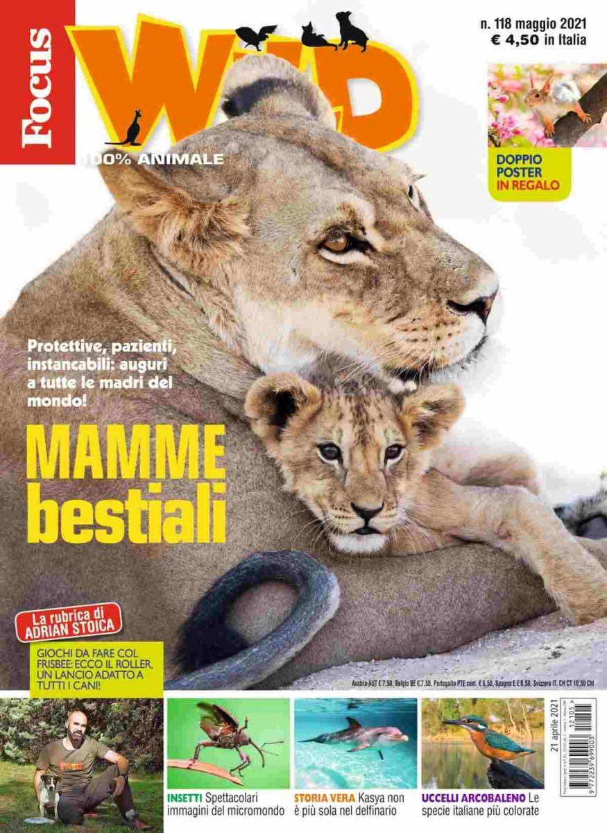 abbonamento-online-rivista-focus-wild